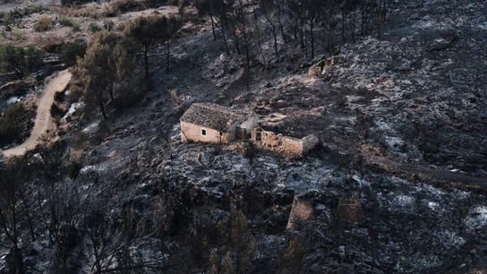 Vista de una zona quemada por el incendio forestal en Bedar, cerca de Almería Vista de una zona quemada por el incendio forestal en Bedar, cerca de Almería