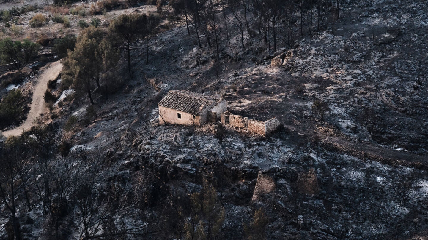 Vista de una zona quemada por el incendio forestal en Bedar, cerca de Almer&iacute;a