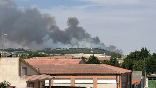 Imagen del humo del incendio declarado en &Iacute;scar (Valladolid).