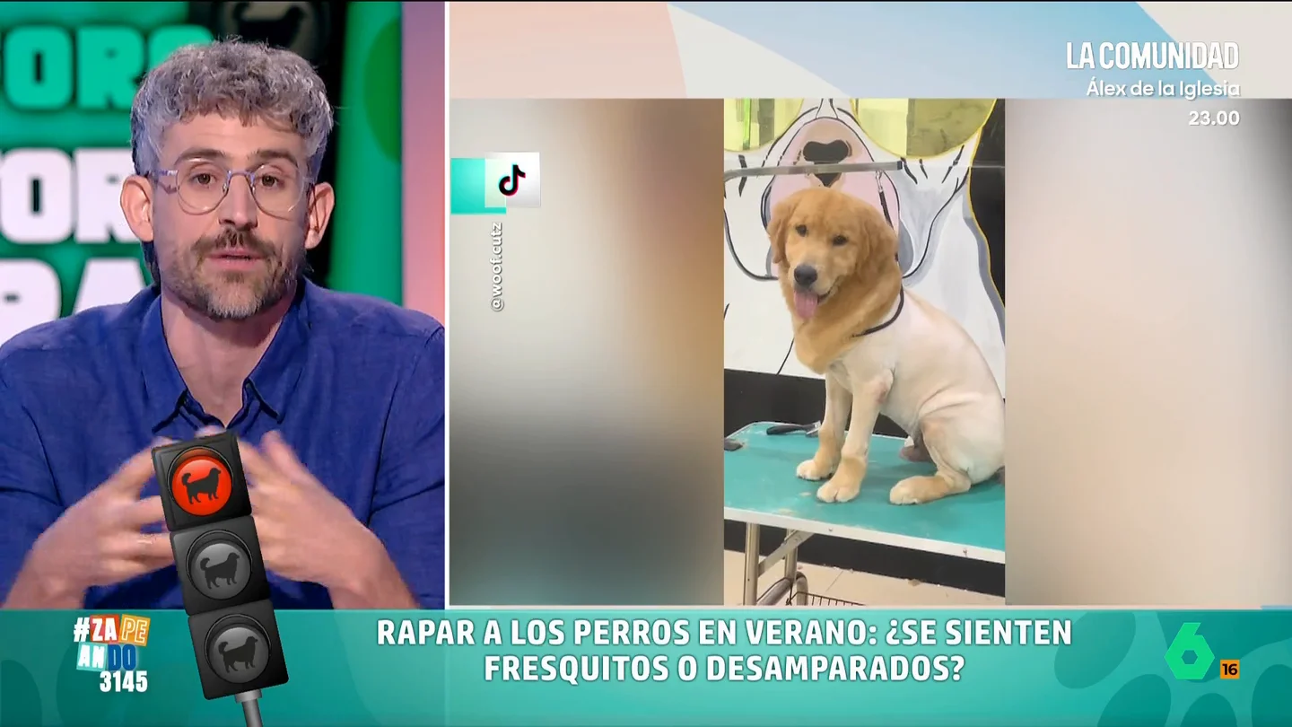 No rapes a tu perro en verano, no va a estar más fresquito: Víctor Algra explica cómo el pelo aísla del calor y las radiaciones solares En su 'semáforo', Víctor Algra da una 'luz roja' a lo de rapar a los perros en verano y explica qué podemos hacer para que estén fresquitos sin desprotegerles, como cepillarlos para quitarles el pelo muerto.