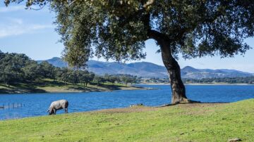 Dehesa de Huelva