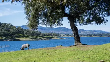 Dehesa de Huelva Dehesa de Huelva
