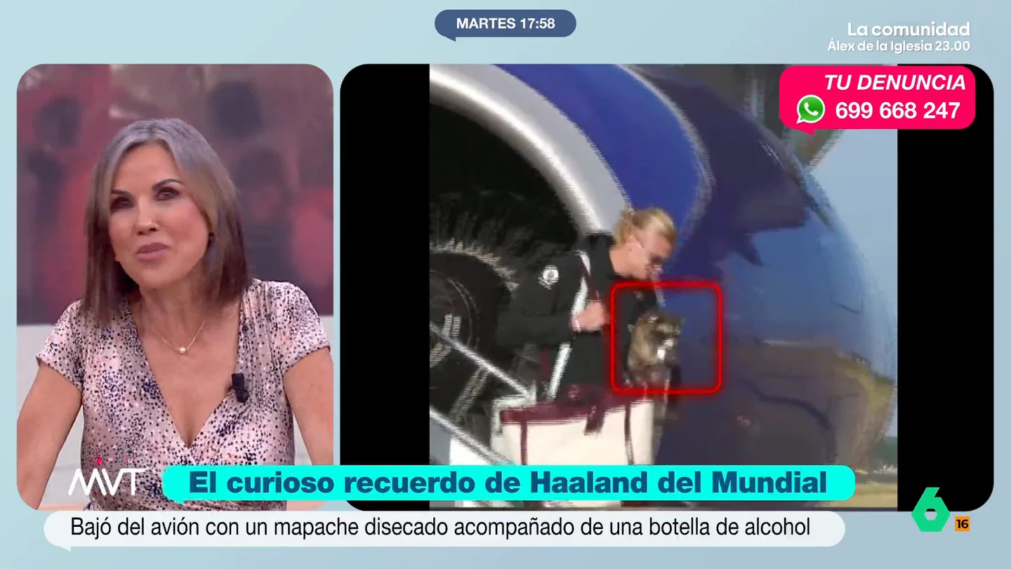 Beatriz de Vicente, indignada al ver a Haaland con un mapache disecado: "Se me ha caído un mito" Tras la eliminación de Noruega del Mundial a manos de Inglaterra, Erling Haaland se bajaba del avión con un curioso souvenir: un mapache disecado que sostiene una botella de licor. La reacción de Bea de Vicente, en este vídeo.