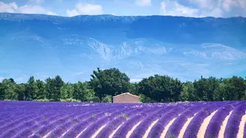 Valensole Valensole
