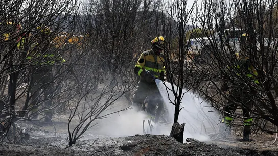 El operativo desplegado en el incendio forestal de Orés (Zaragoza). El operativo desplegado en el incendio forestal de Orés (Zaragoza).