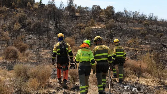 El operativo desplegado en el incendio forestal de Orés (Zaragoza). El operativo desplegado en el incendio forestal de Orés (Zaragoza).