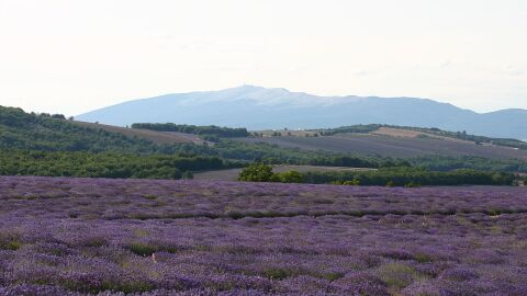 Meseta de Albion