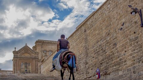 Mardin