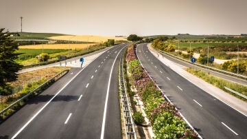 Imagen de una mediana de autopista en Espa&ntilde;a.
