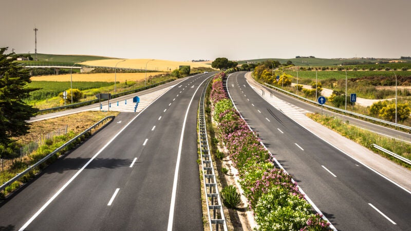 ¿Por qué las adelfas son las plantas que hay en las medianas de las autovías? Tienen una importante función de seguridad