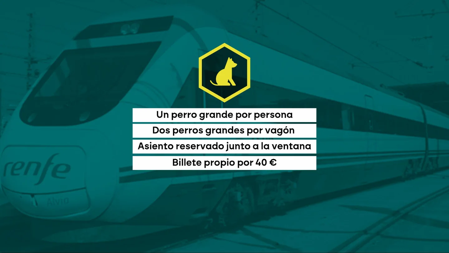 Renfe permite viajar a perros de más de 40 kilos Renfe permite viajar a perros de más de 40 kilos