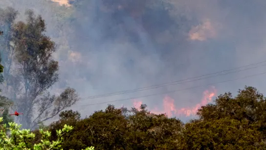 Incendio que se desató en El Cerro del Andévalo (Huelva) en un terreno de dehesa Incendio que se desató en El Cerro del Andévalo (Huelva) en un terreno de dehesa