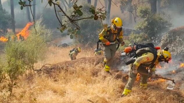 Imagen de los efectivos en el incendio forestal de Almorox (Toledo)