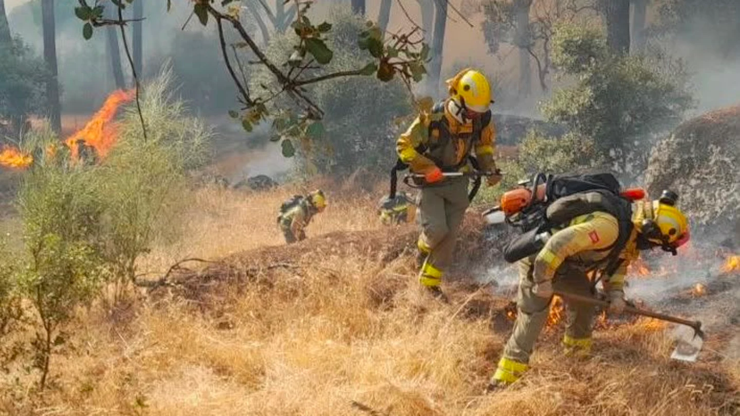 Imagen de los efectivos en el incendio forestal de Almorox (Toledo) Imagen de los efectivos en el incendio forestal de Almorox (Toledo)