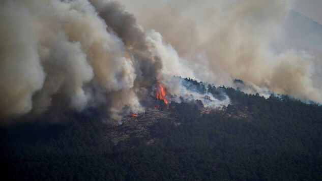 El incendio en La Mierla (Guadalajara) a la altura de Condemios de Arriba el 22 de julio de 2026