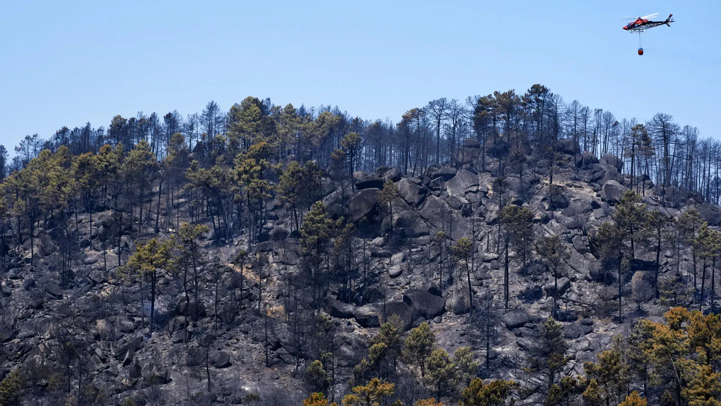 Paisaje quemado en el Parque Natural del Valle de Iruelas arrasado por el incendio de Burgohondo (Ávila) Paisaje quemado en el Parque Natural del Valle de Iruelas arrasado por el incendio de Burgohondo (Ávila)