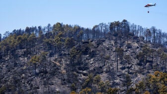 Paisaje quemado en el Parque Natural del Valle de Iruelas arrasado por el incendio de Burgohondo (&Aacute;vila)