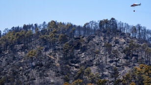 Paisaje quemado en el Parque Natural del Valle de Iruelas arrasado por el incendio de Burgohondo (&Aacute;vila)