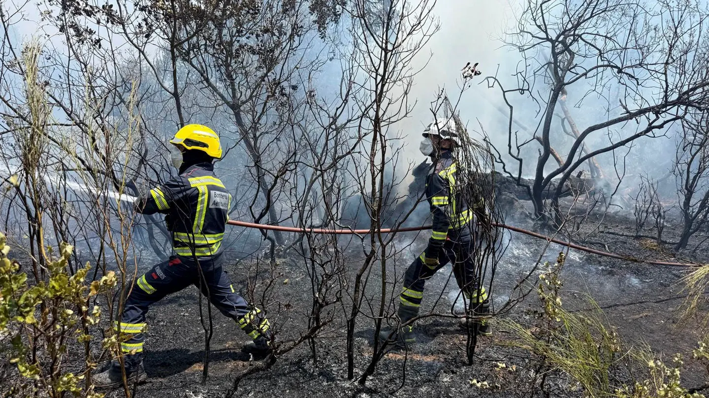 Trabajo de los Bomberos Forestales en la Comunidad de Madrid Trabajo de los Bomberos Forestales en la Comunidad de Madrid