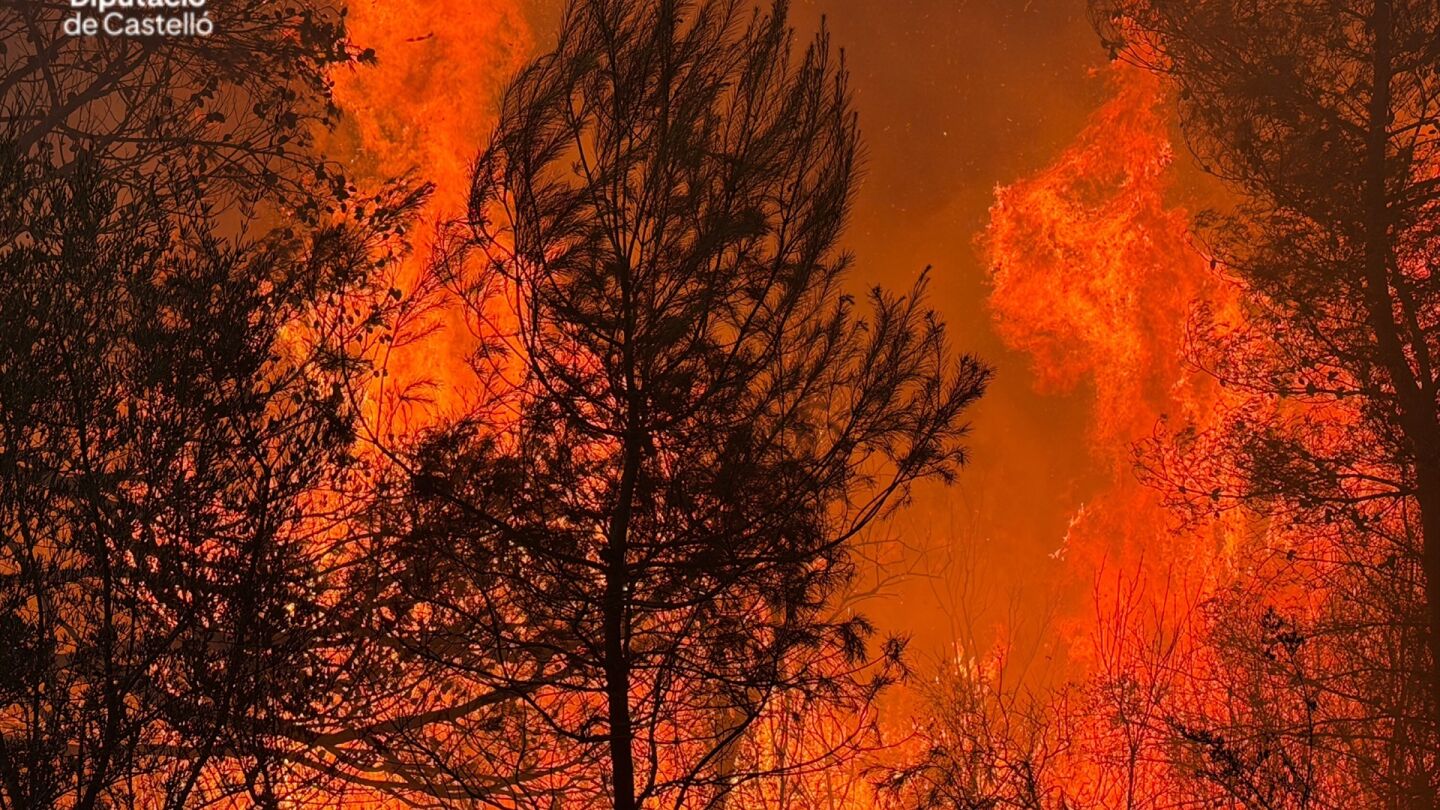 Incendio forestal declarado en la localidad castellonense de la Vall d'Uixó.