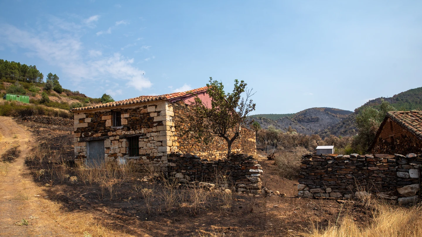 Terreno quemado por el incendio forestal, a 23 de julio de 2026, en La Mierla, Guadalajara, Castilla-La Mancha (España) Terreno quemado por el incendio forestal, a 23 de julio de 2026, en La Mierla, Guadalajara, Castilla-La Mancha (España)