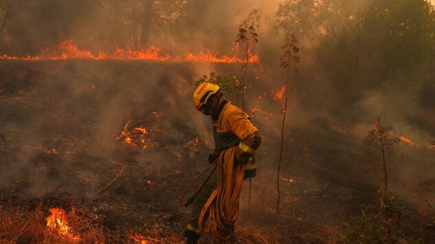 Un bombero en el incendio forestal en San Mart&iacute;n de Valdeiglesias, Madrid.