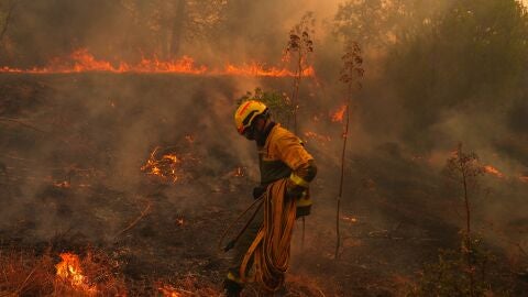Un bombero en el incendio forestal en San Mart&iacute;n de Valdeiglesias, Madrid.