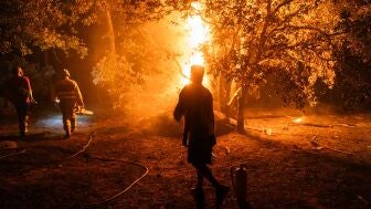 Varias personas trabajan en las labores de extinci&oacute;n del incendio forestal en La Adrada, &Aacute;vila.