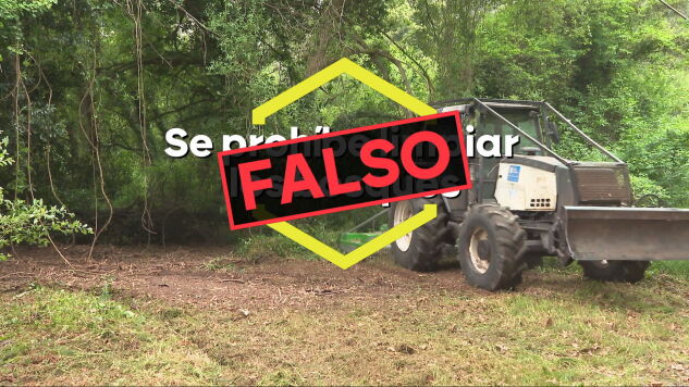 Bulos que surgen a ra&iacute;z de los incendios