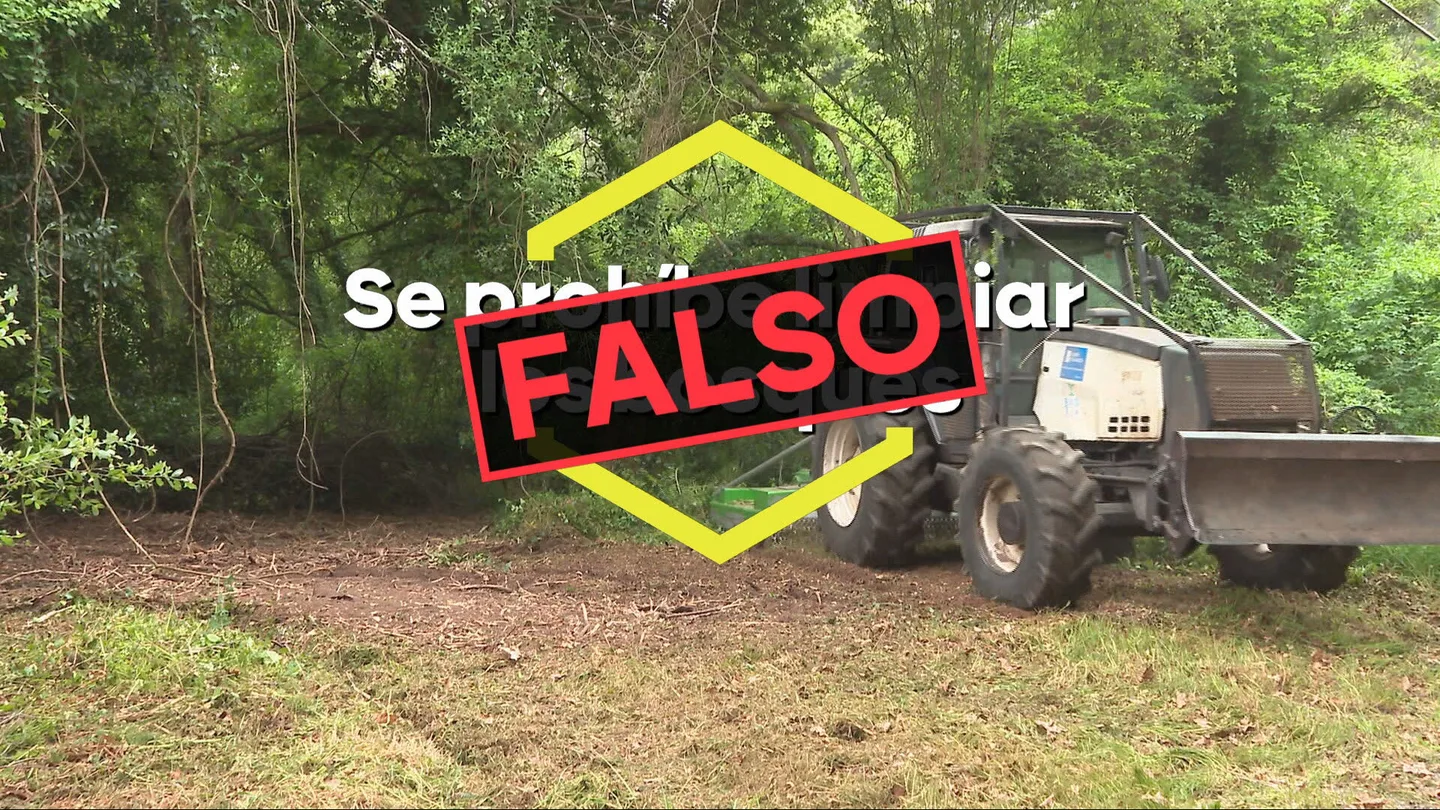 Bulos que surgen a raíz de los incendios Bulos que surgen a raíz de los incendios