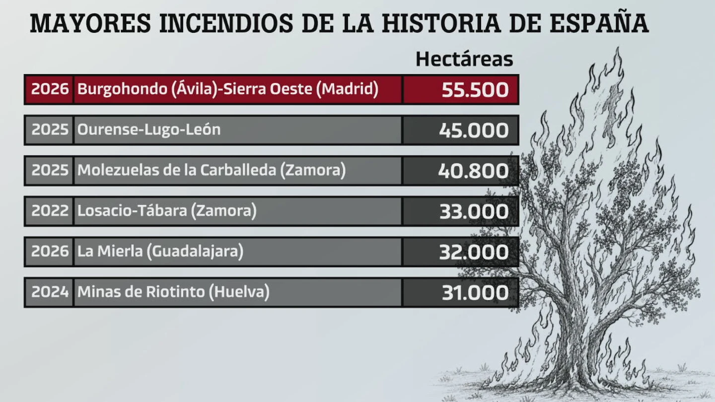 El fuego desata una emergencia sin precedentes: cuatro de los cinco mayores incendios de la historia de España se han producido entre 2025 y 2026 El fuego desata una emergencia sin precedentes: cuatro de los cinco mayores incendios de la historia de España se han producido entre 2025 y 2026