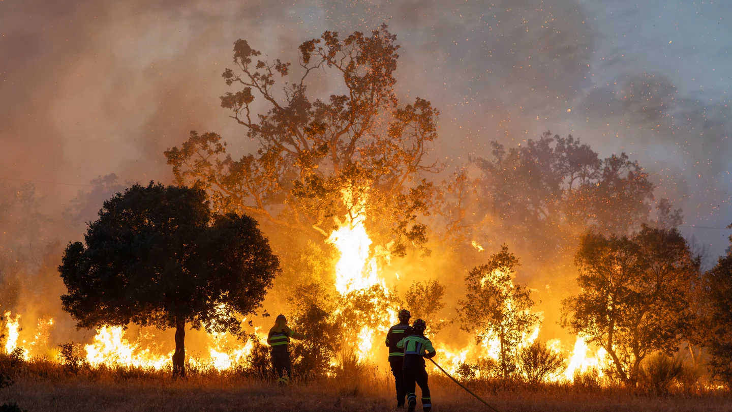 Bomberos trabajan en un incendio cerca de Formariz, en la provincia de Zamora Bomberos trabajan en un incendio cerca de Formariz, en la provincia de Zamora
