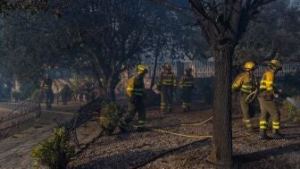 Varios bomberos forestales durante las labores de extinci&oacute;n de un incendio forestal, a 29 de julio de 2026, en Fermoselle, Zamora, Castilla y Le&oacute;n (Espa&ntilde;a). 