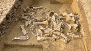 Excavaci&oacute;n en Langmannersdorf