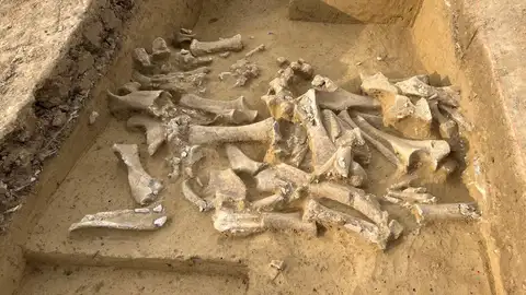 Excavación en Langmannersdorf Excavación en Langmannersdorf
