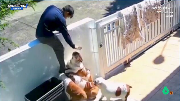 El divertido v&iacute;deo de varios perros agarrando a su due&ntilde;o para que no se vaya de casa: "Nunca nadie te querr&aacute; as&iacute;"