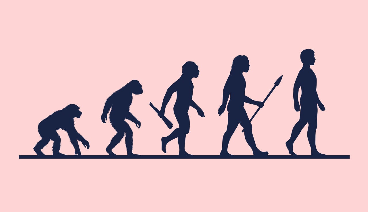 Evoluci&oacute;n humana