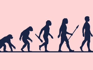 Evoluci&oacute;n humana