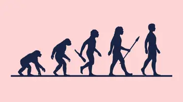 Evolución humana Evolución humana