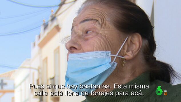 La pista que llev&oacute; a la Guardia Civil hasta el clan de 'Los Pi&ntilde;os': "Tienen marihuana sembrada por todo el pueblo"