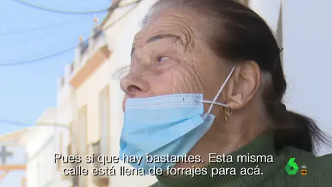 La pista que llevó a la Guardia Civil hasta el clan de 'Los Piños': "Tienen marihuana sembrada por todo el pueblo" La pista que llevó a la Guardia Civil hasta el clan de 'Los Piños': "Tienen marihuana sembrada por todo el pueblo"