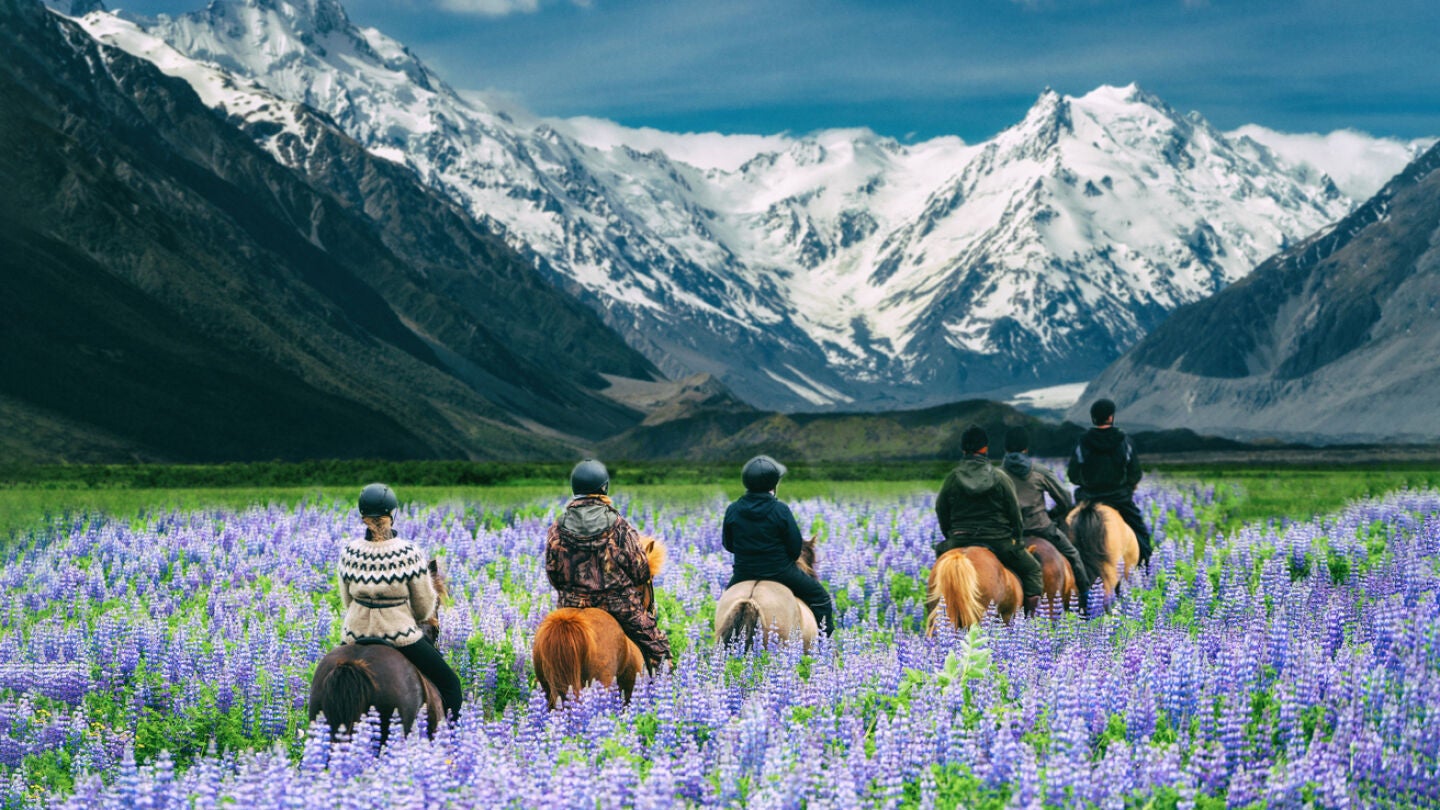 Ruta a caballo en Nueva Zelanda