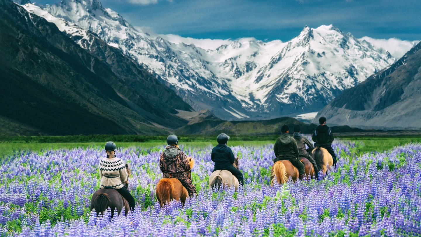 Ruta a caballo en Nueva Zelanda Ruta a caballo en Nueva Zelanda