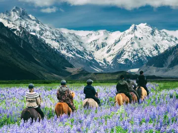 Ruta a caballo en Nueva Zelanda Ruta a caballo en Nueva Zelanda
