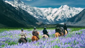 Ruta a caballo en Nueva Zelanda