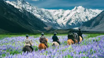 Ruta a caballo en Nueva Zelanda Ruta a caballo en Nueva Zelanda