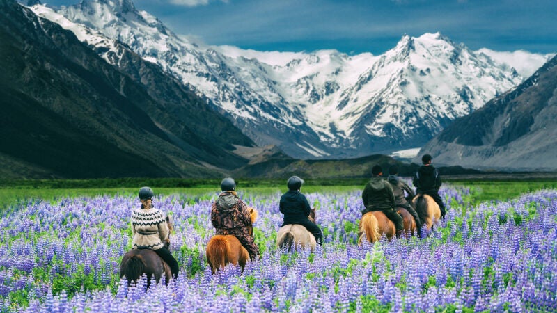 El santuario de Nueva Zelanda que ofrece alojamiento gratis por cuidar caballos, ponis y burros