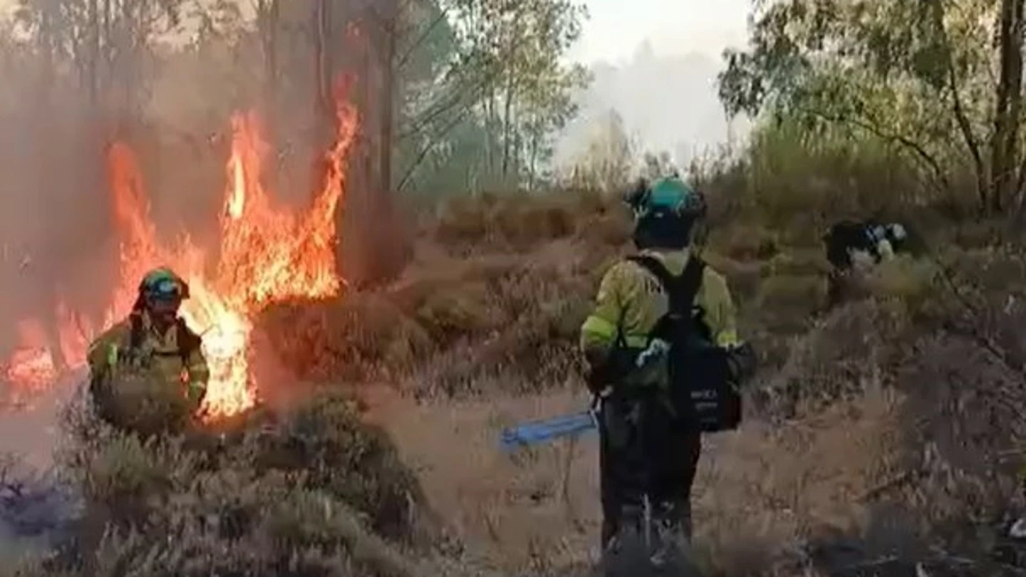Incendio forestal en Niebla (Huelva) Incendio forestal en Niebla (Huelva)