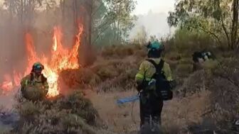 Incendio forestal en Niebla (Huelva)