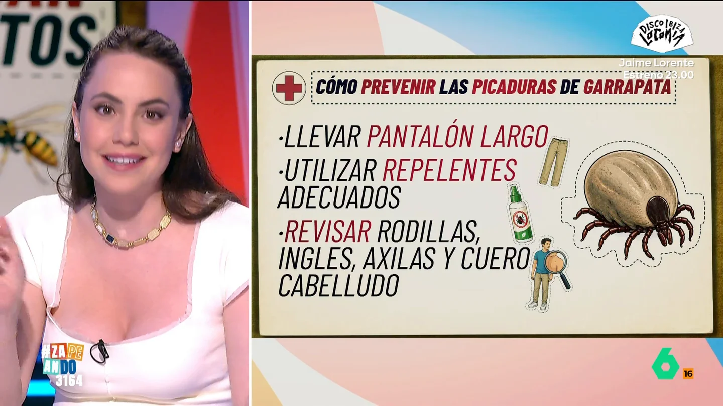 No, si te pica una garrapata no la quemes: Esther Gómez te explica en este vídeo paso a paso qué hacer No, si te pica una garrapata no la quemes: Esther Gómez te explica en este vídeo paso a paso qué hacer